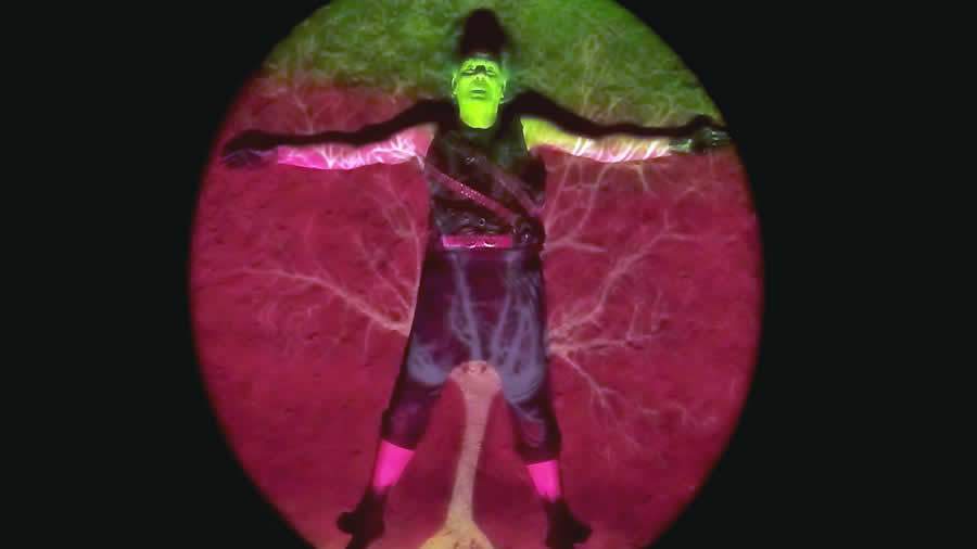 O C&atilde;o de Kafka - (Divulga&ccedil;&atilde;o)