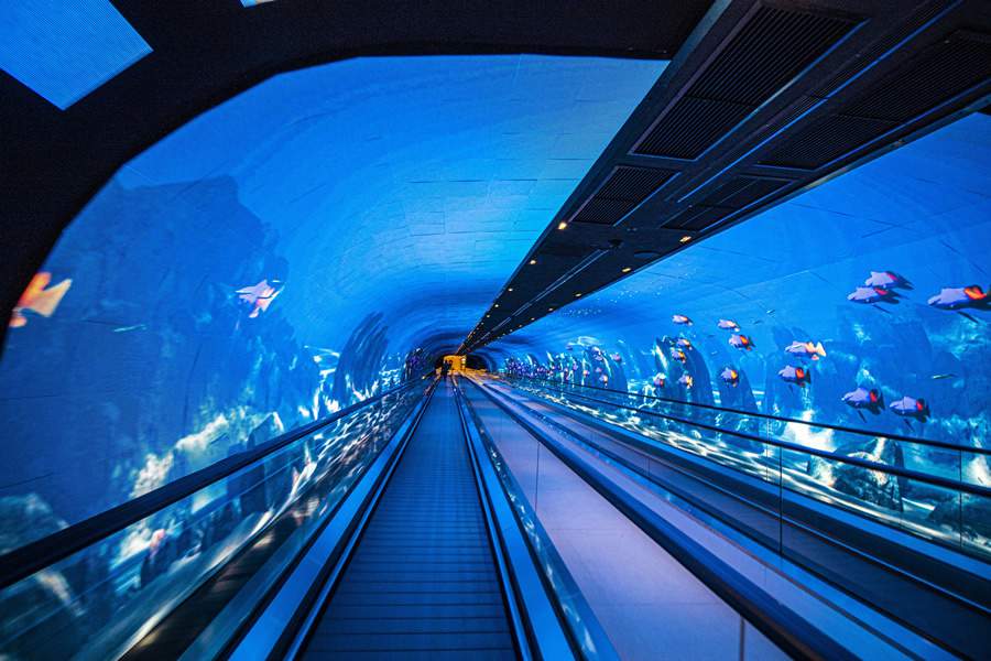 Pain&eacute;is de Led Com Formatos Inovadores Foram os Grandes Destaques do Mercado Brasileiro de M&iacute;dia OOH Em 2022 Sinalizando Alto Potencial de Crescimento Para Este Ano