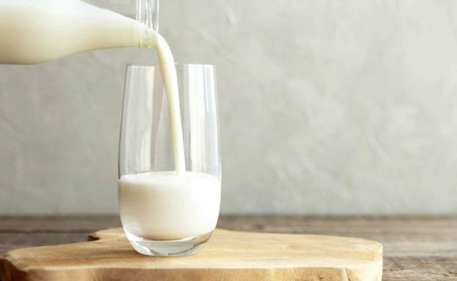 Leite de vaca: vil&atilde;o ou her&oacute;i na rotina alimentar? Veja opini&atilde;o de nutricionista