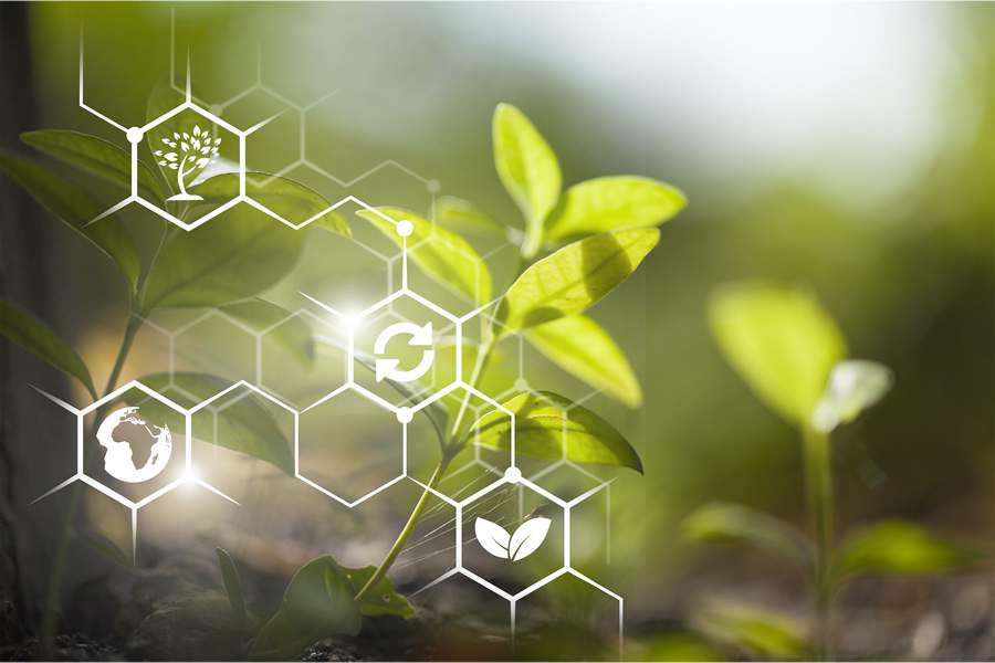 Cr&eacute;dito Adobe Stock