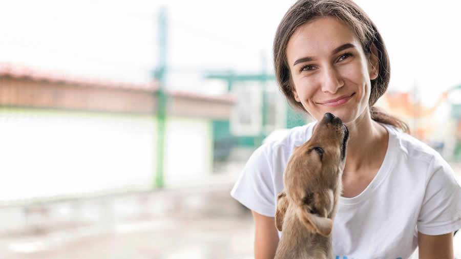 Janeiro Branco: a import&acirc;ncia dos animais de estima&ccedil;&atilde;o para o bem-estar emocional