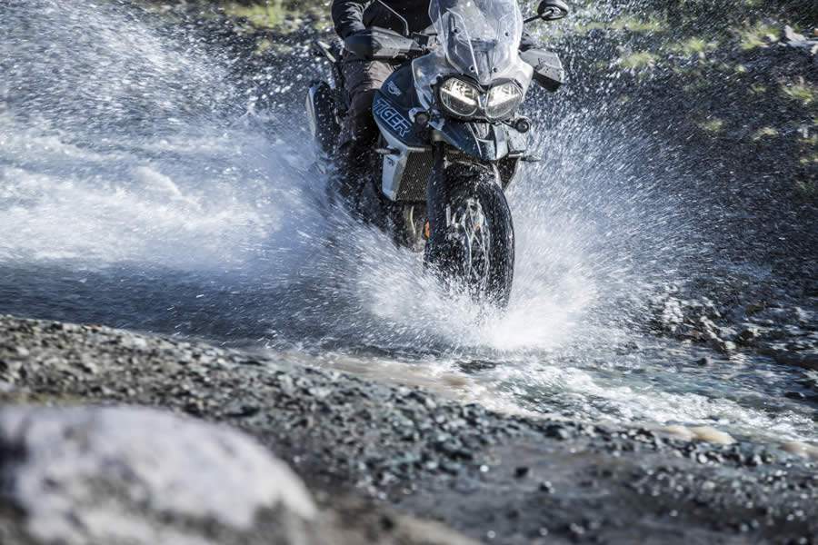 Triumph bate recorde de vendas no Brasil em 2019, superando a marca das 5 mil motos