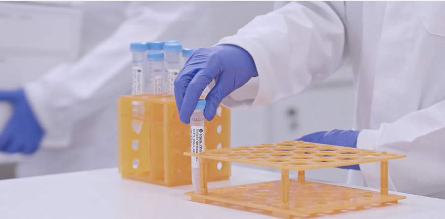 Crédito: Divulgação