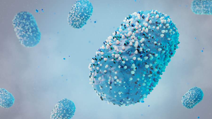 MONKEYPOX - DIVULGAÇÃO