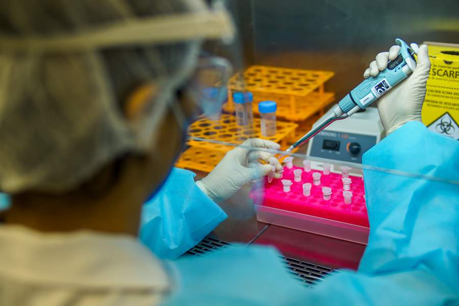 Laborat&oacute;rio - Reprodu&ccedil;&atilde;o