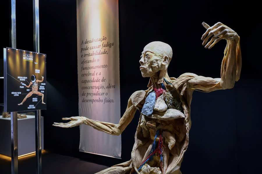 Exposi&ccedil;&atilde;o Human Bodies - CR&Eacute;DITO Rick Nogueira