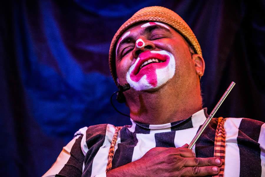 Quilombo da Liberdade Live oferece aulas de capoeira e transmiss&otilde;es ao vivo de apresenta&ccedil;&otilde;es culturais gratuitas