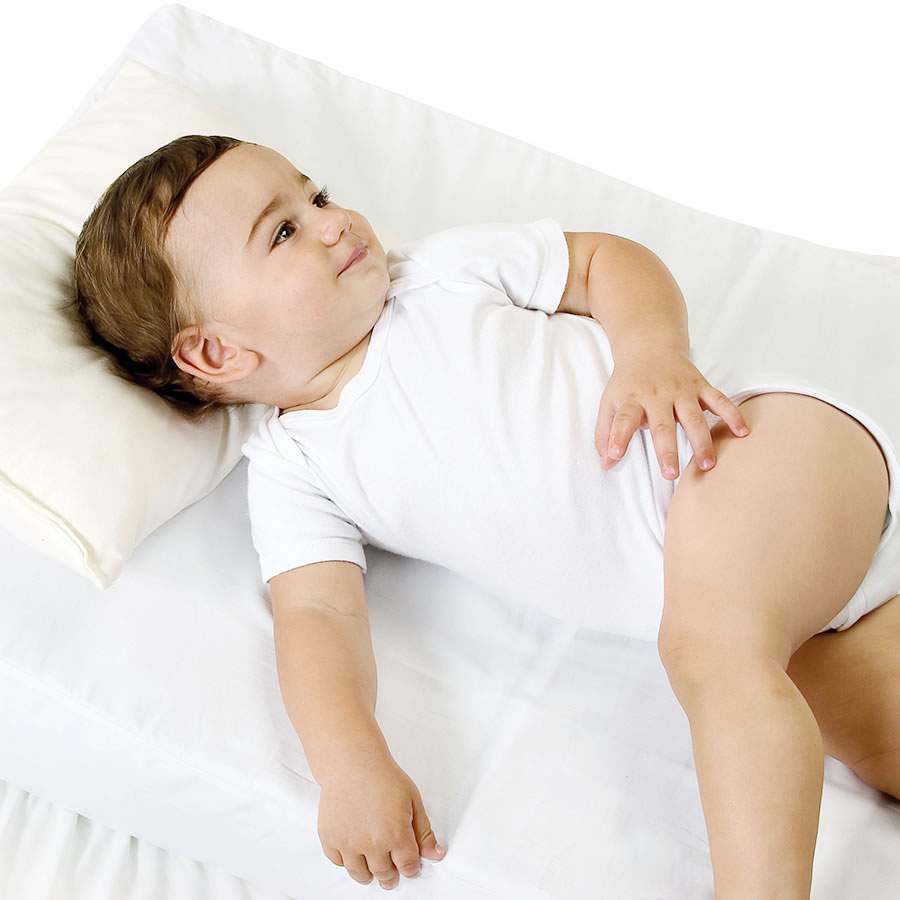 Crédito Divulgação Agencia Viva