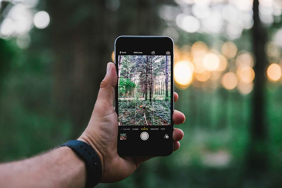 Dispositivos móveis podem auxiliar pessoas a se aproximarem da natureza 