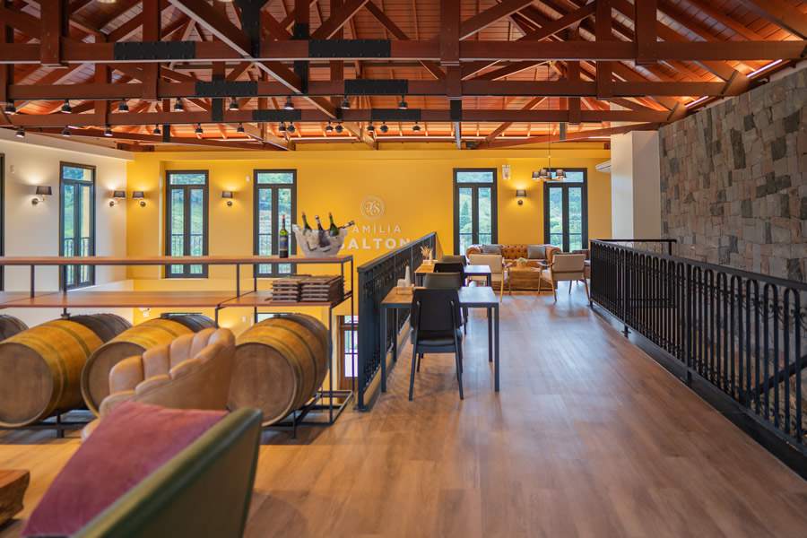 Augusto Tomasi, Divulgação