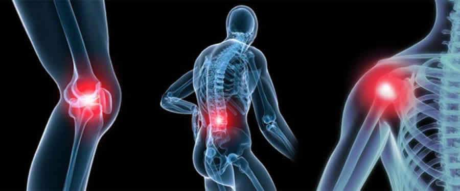 Cr&eacute;dito: Divulga&ccedil;&atilde;o