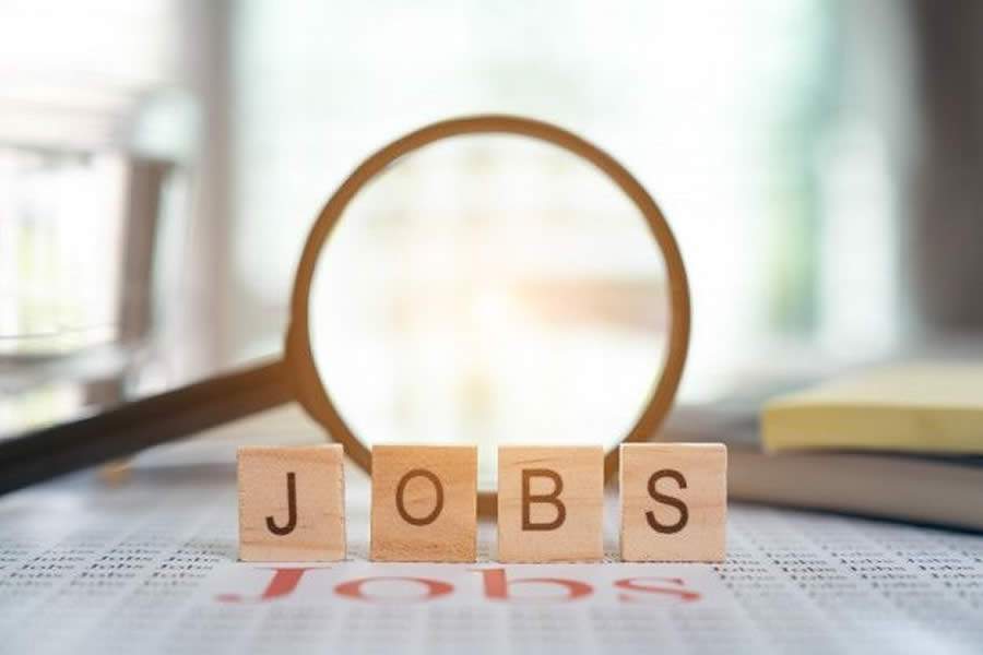 Digisystem abre 380 vagas e reforça apoio a campanha nacional Não Demita