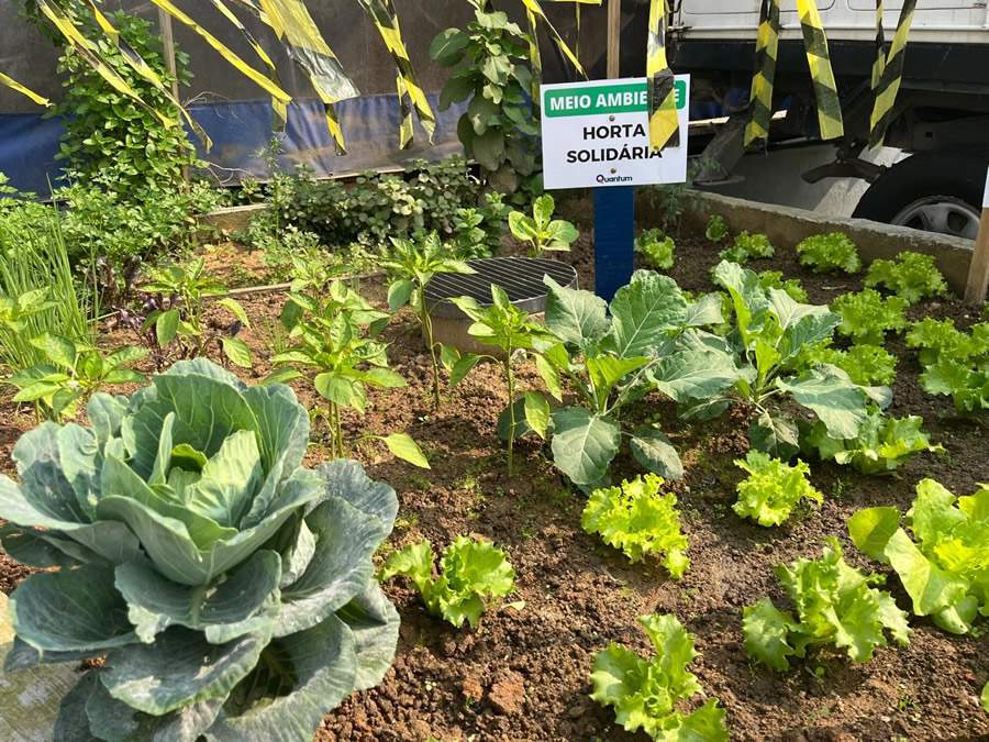 Horta junto à matriz da Quantum Engenharia já recebeu cerca 500 quilos de resíduos orgânicos gerados pelos colaboradores, resultando em hortaliças, legumes, chás e frutas orgânicas que vão para a mesa dos funcionários. Foto: Divulgação.
