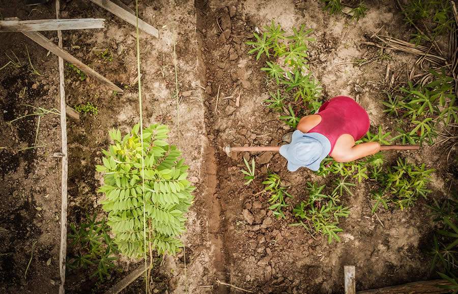 Divulgação PRETATERRA
