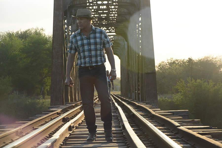 &lsquo;Mambo Man: Guiado pela M&uacute;sica&rsquo; e &lsquo;A Jornada de Jhalki&rsquo; chegam ao Cinema Virtual em fevereiro