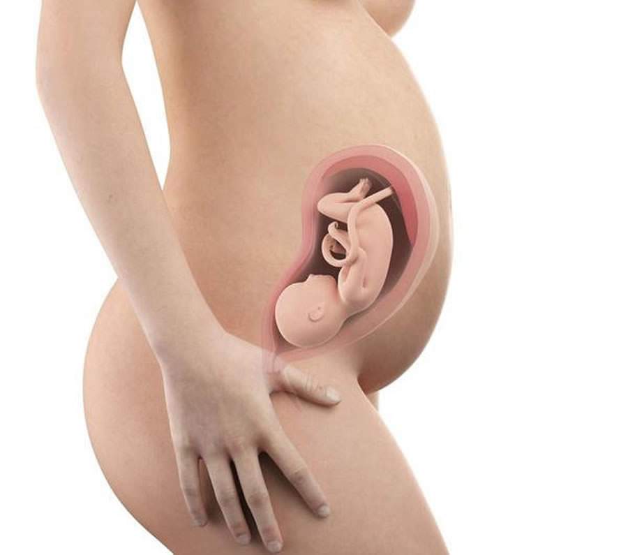 Imagem: Divulgação