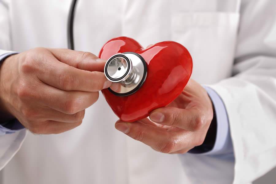Dia 29 de setembro é o Dia Mundial do Coração - Divulgação | Banco de imagens