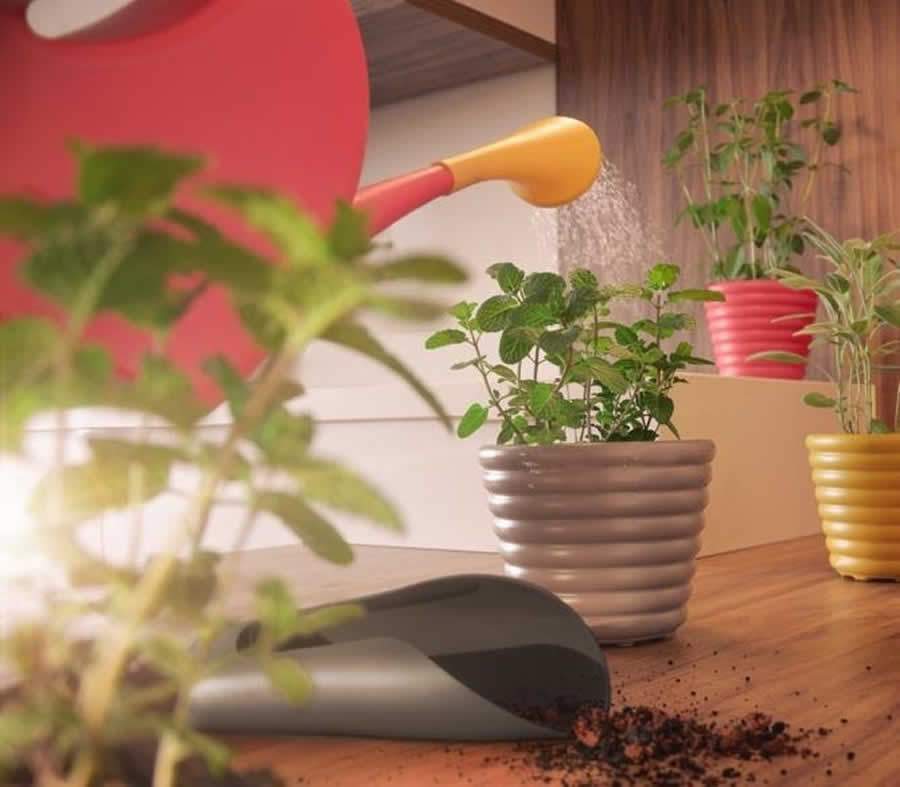 Plantas precisam de cuidados especiais no ver&atilde;o