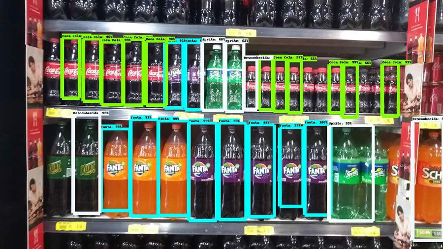 Exemplo de foto analisada pelo algoritmo de reconhecimento de imagem 