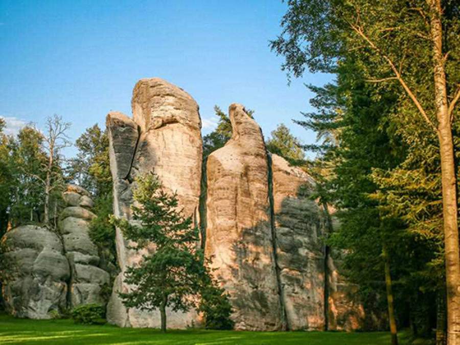 Demanda por seguro viagem deve crescer em 2021, afirma especialista