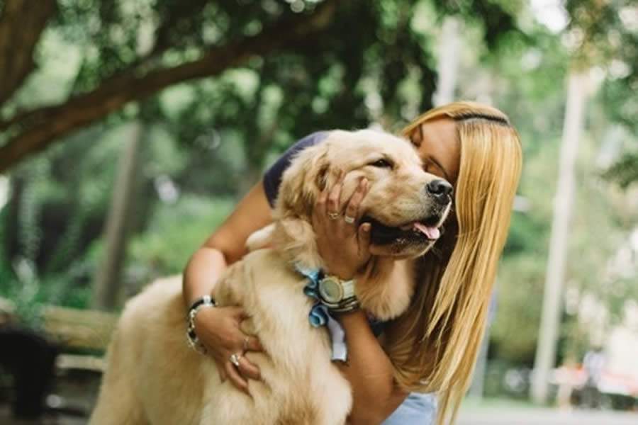 Cr&eacute;dito da imagem: Melvim Quaresma