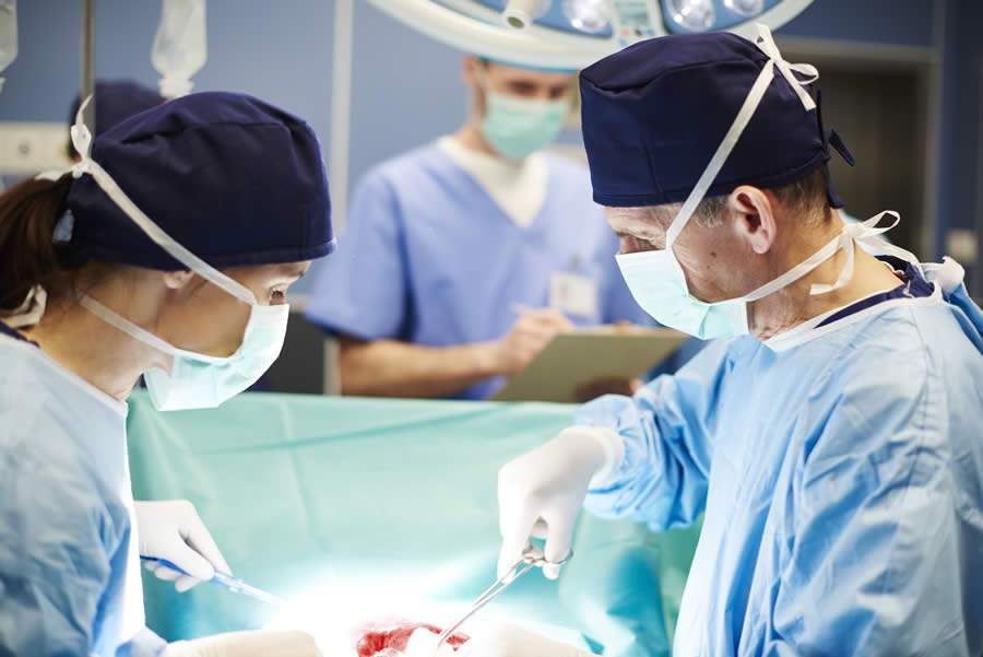 Brasil viu os números de transplante e doação de órgãos despencarem com o agravamento da pandemia - Créditos: Envato