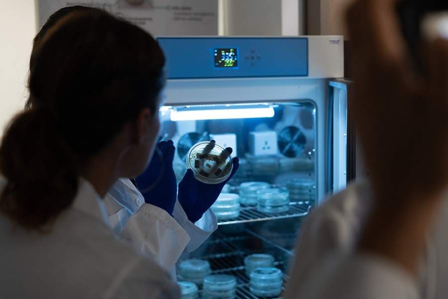 Divulga&ccedil;&atilde;o | Bioelements