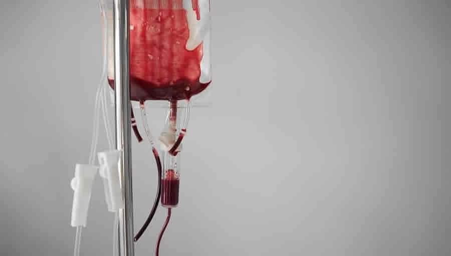 Liberdade religiosa: Testemunhas de Jeov&aacute; podem recusar transfus&atilde;o de sangue em tratamentos m&eacute;dicos