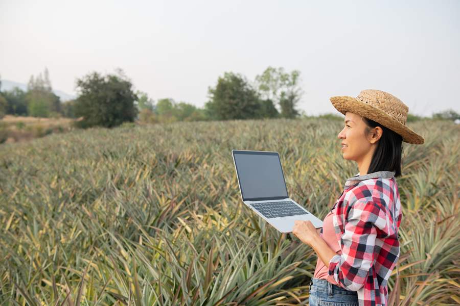  Para quem busca recoloca&ccedil;&atilde;o ou novos desafios, o momento &eacute; estrat&eacute;gico: h&aacute; oportunidades tanto em fun&ccedil;&otilde;es tradicionais do agro quanto em posi&ccedil;&otilde;es voltadas &agrave; inova&ccedil;&atilde;o digital. - Foto: Freepik