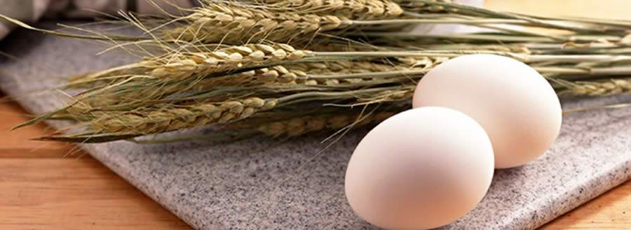 Ovo &ndash; O alimento da fam&iacute;lia brasileira