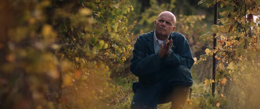 "A Vin&iacute;cola dos Sonhos"