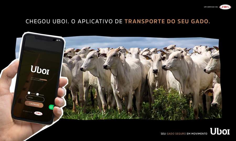 APP de transporte de gado: Uboi chega ao mercado