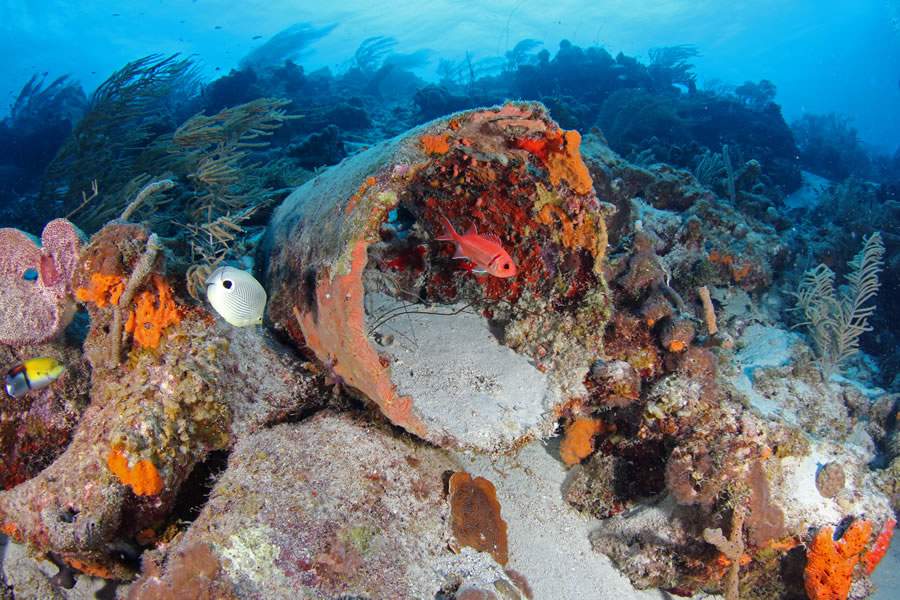 Regi&atilde;o Stella Maris - Dive Cura&ccedil;ao