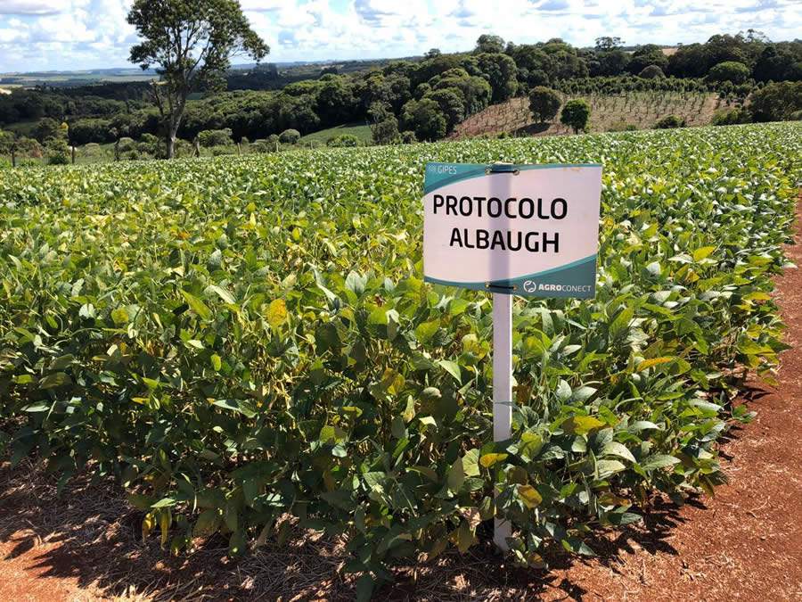 Fungicida multissítio é aprovado por agricultores e engenheiros agrônomos na fronteira agrícola da soja