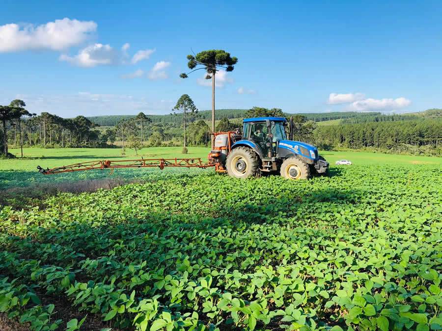 Tecnologia biol&oacute;gica ajuda agricultores a proteger o solo e a obter melhor produtividade