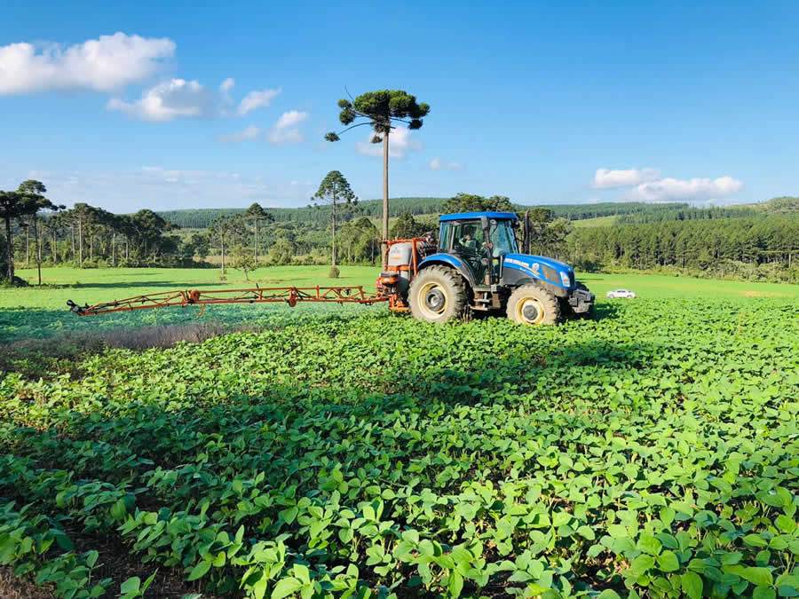Tecnologia biológica ajuda agricultores a proteger o solo e a obter melhor produtividade