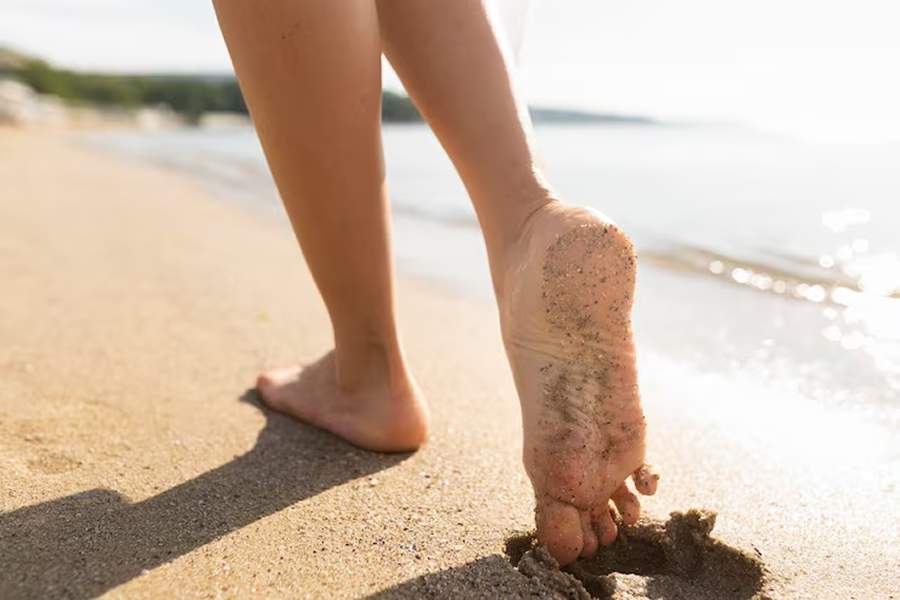 Cr&eacute;ditos: Freepik