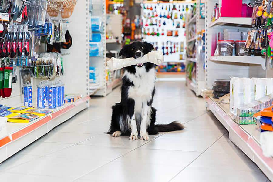 Com produtos veganos, sustent&aacute;veis e tecnologia 100% brasileira, exporta&ccedil;&otilde;es do setor pet brasileiro cresceram 32%