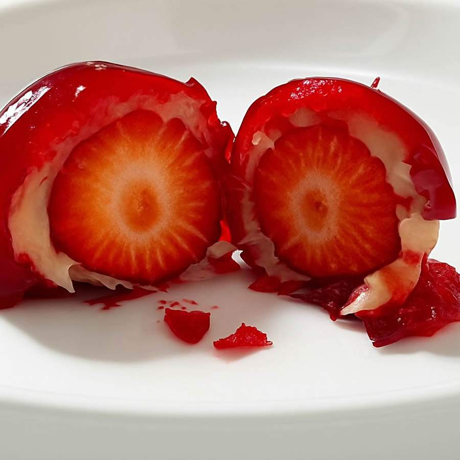 (Foto divulgação: Notco)