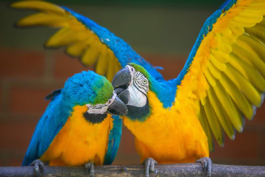 Est&acirc;ncia Hidromineral Ouro Fino reabre ao p&uacute;blico com novo hor&aacute;rio de funcionamento