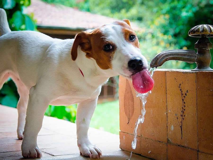 Cr&eacute;dito: Divulga&ccedil;&atilde;o