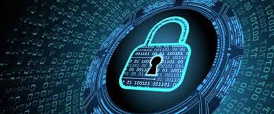 Divulga&ccedil;&atilde;o - LGPD