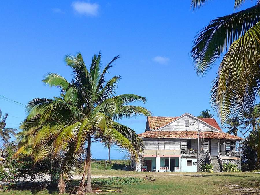 Imagem de Gitti Lohr por Pixabay