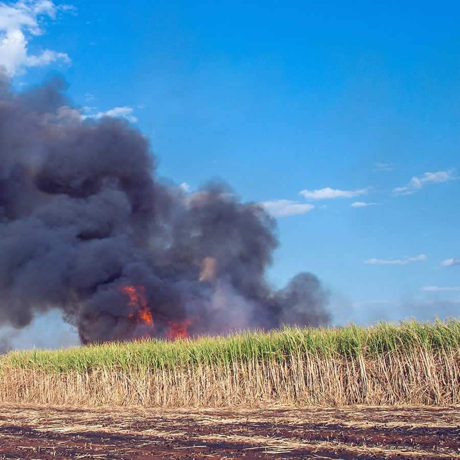 Foto 2) EGITRON - foto do banco de imagens que mostra uma cortina alta de fumaça preta em cima do canavial
