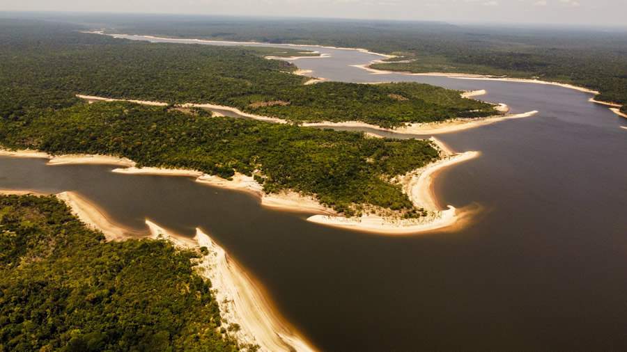 Seguradora francesa CNP Assurances investe em projeto para a bioeconomia na Amazônia