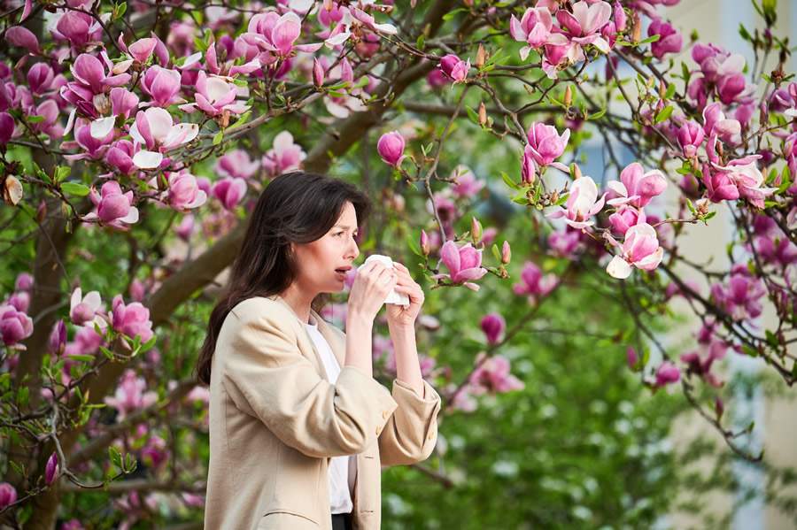 Primavera agrava alergias respiratórias: veja como proteger o ar dentro de casa
