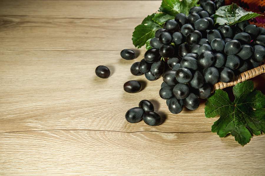 Mimo Seleção Vitória - Divulgação Mimo