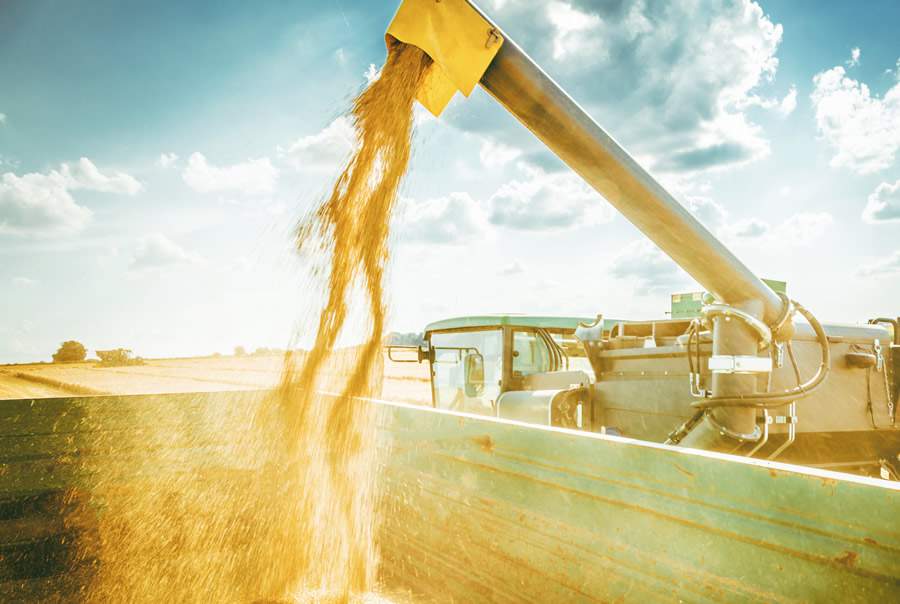 Tmov aponta alta de 120% em tarifa de frete rodoviário da safra de milho - Divulgação