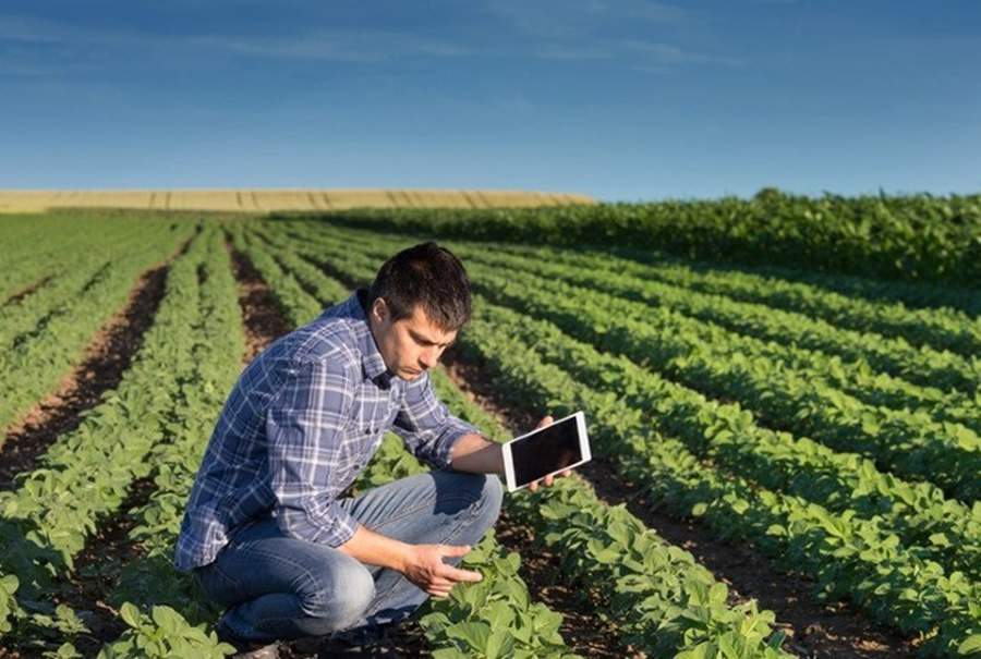 BB Seguros e UNESP se unem para lan&ccedil;ar curso gratuito de forma&ccedil;&atilde;o de peritos em seguros rurais