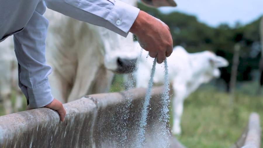 Aglomerax garante 16% a mais de rendimento no período das águas